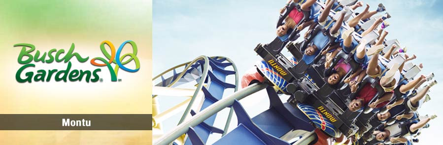 SeaWorld - Two Park Ticket - Acima de 3 anos "New Year Sale"