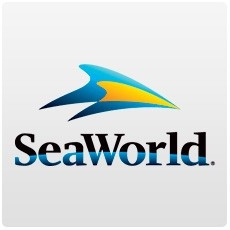 SeaWorld Orlando Quick Queue! ADD-ON